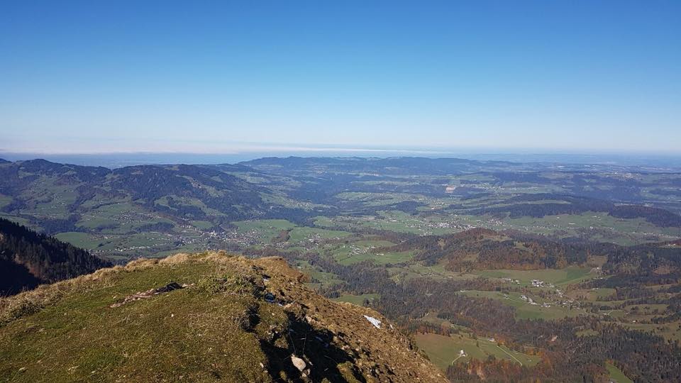 Blick in die Ferne Blick in die Ferne